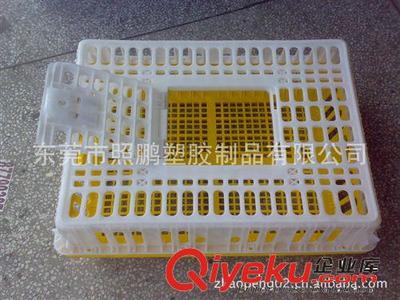 工廠供應(yīng)農(nóng)場(chǎng)塑料雞籠 養(yǎng)殖場(chǎng)運(yùn)輸周轉(zhuǎn)雞籠-東莞市照鵬塑膠制品提供工廠供應(yīng)農(nóng)場(chǎng)塑料雞籠 養(yǎng)殖場(chǎng)運(yùn)輸周轉(zhuǎn)雞籠的相關(guān)介紹、產(chǎn)品、服務(wù)、圖片、價(jià)格東莞市照鵬塑膠制品、塑l料中空板;防靜電中空板;塑膠卡板;防靜電卡板;塑膠周轉(zhuǎn)箱;防靜電周轉(zhuǎn)箱;塑膠周轉(zhuǎn)籮;塑膠方盤(pán);防靜電方盤(pán);塑膠零件盒;防靜電零件盒;防靜電椅子;塑膠椅子;透明整理箱;塑膠水塔;防靜電上板架;塑膠保鮮盒;防靜電烏龜車;二手卡板;零件整理柜