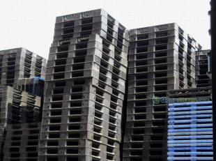 供應長期大量供應二手塑料卡板購銷,二手塑料托盤買賣,廣州東莞深圳等地_紡織皮革_世界工廠網中國產品信息庫