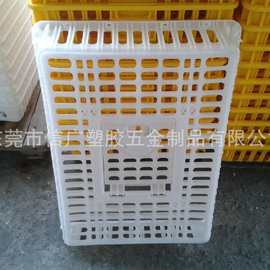 江西山雞養(yǎng)殖場