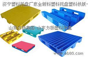 山東力揚集團 專業制造塑料托盤、環衛垃圾桶與周轉箱的領先企業