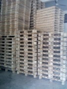 偉誠卡板廠 專業塑料卡板產品展示